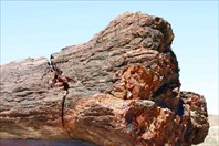 Окаменелый лес, Аризона 5-национальный парк "Петрифайд-Форест"